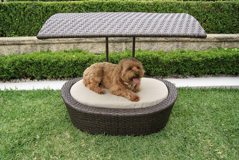Wicker Pet Sun Bed with Hard Canopy